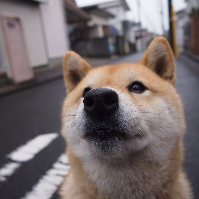 门神归位，奥纳纳的美加墨之夜与一个国家的和解