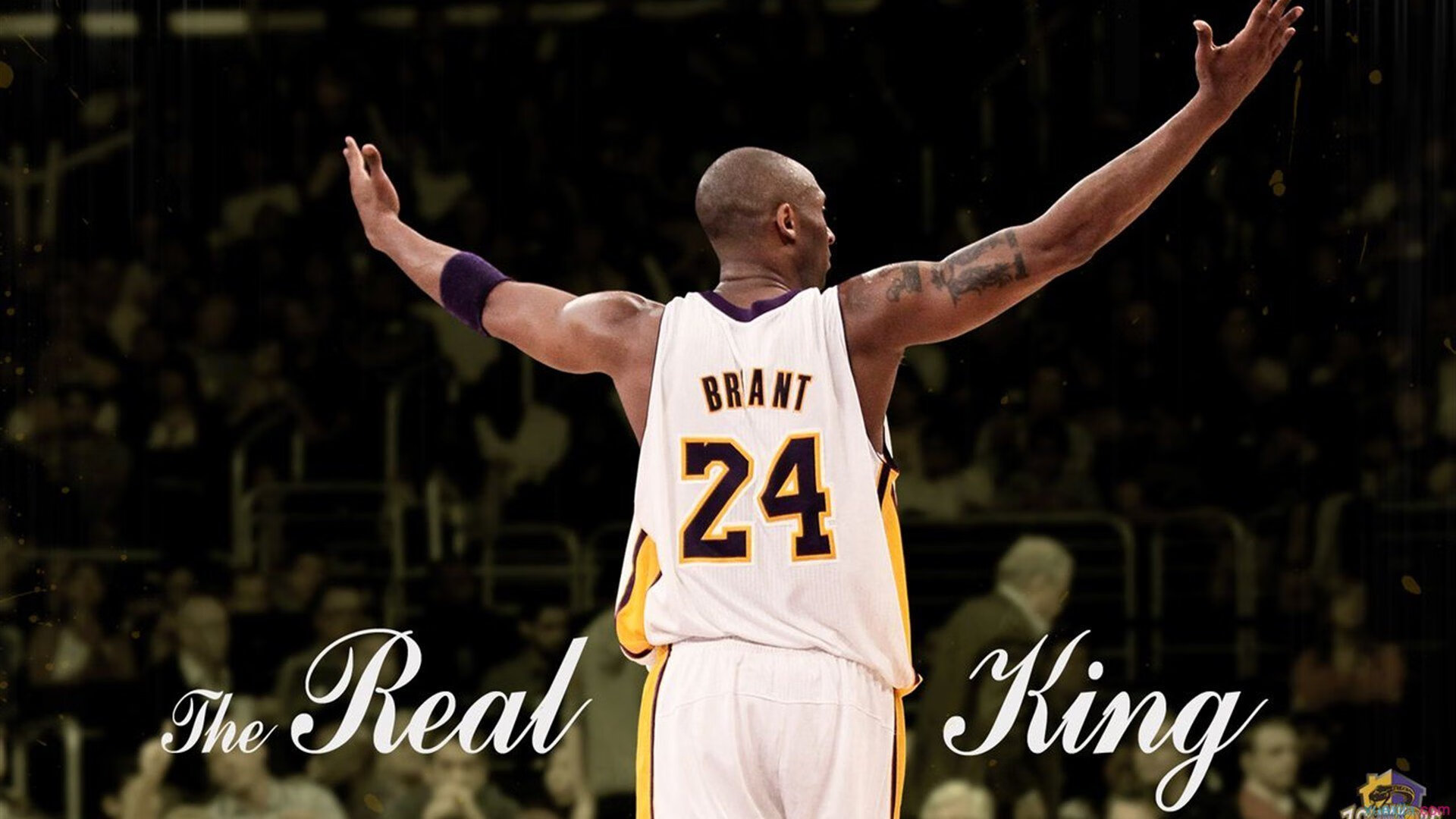 戈贝尔不当蓝领！马刺三波攻击波皆由他策动，骑士内线沦为提款机