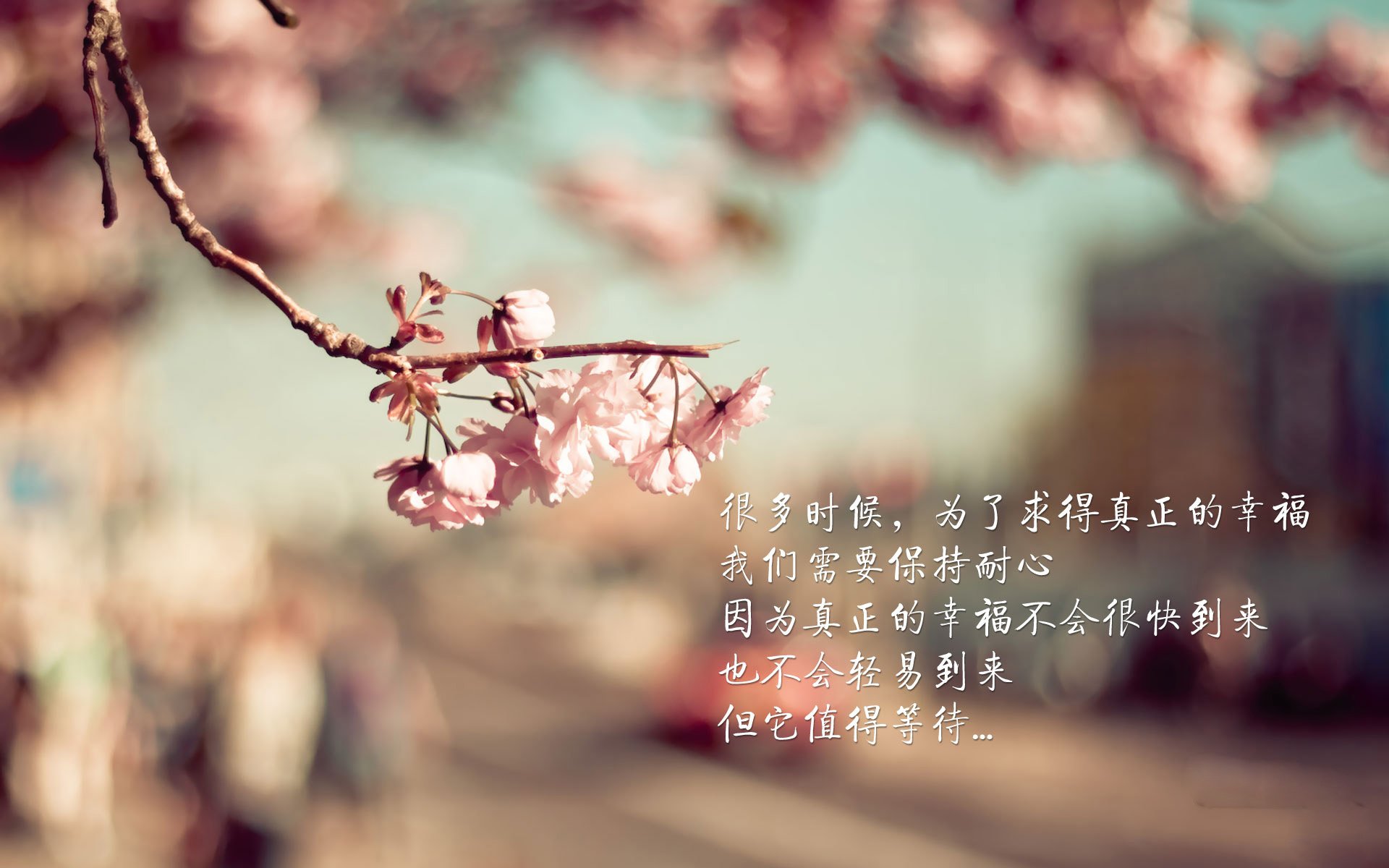 悬停的鹰翼，当切特的双手为深圳速度按下暂停键