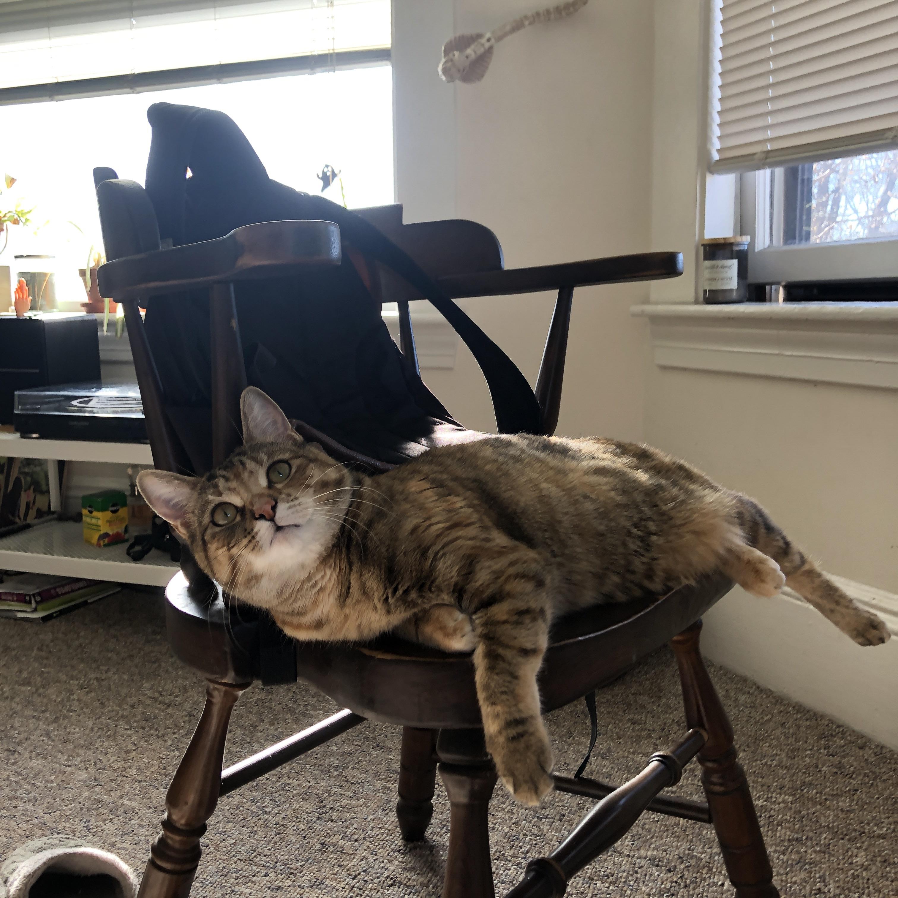 荷兰旋风席卷伊比利亚，欧冠淘汰赛的橙色风暴如何彻底撕碎皇家社会防线