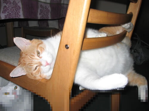 绿茵双城记,帕尔默一锤定音与里昂闪电破土—不可复制的胜利哲学