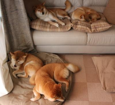 寒夜淬火,当末节时钟敲响,劳塔罗将年度焦点之战改写为个人加冕礼