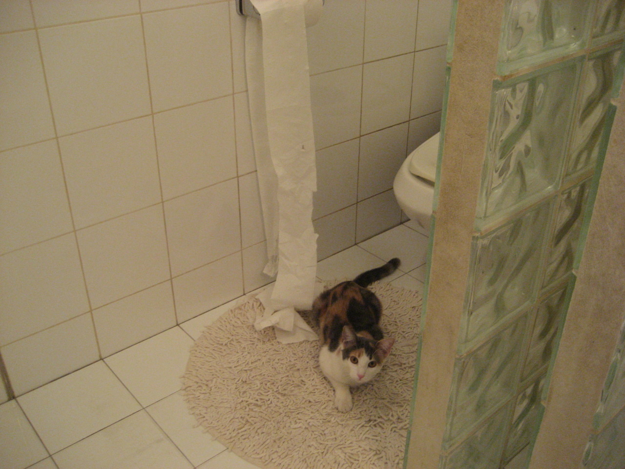 绝境之王！弗拉霍维奇读秒绝杀，扛起克罗地亚冲破至暗时刻