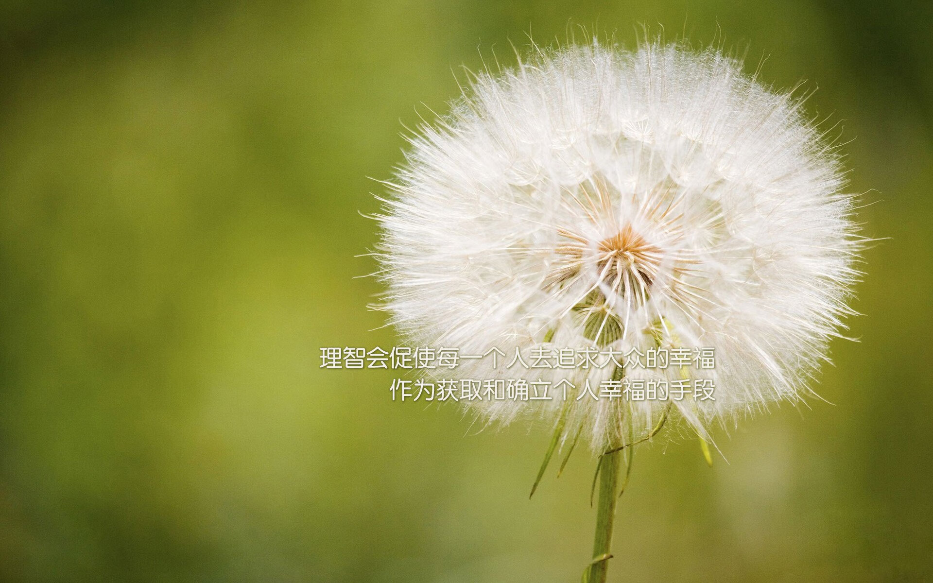 黑马奔腾，巨星陨落？2026世界杯E组，伊拉克以铁血防守与费利克斯的灵光一现，力克保加利亚