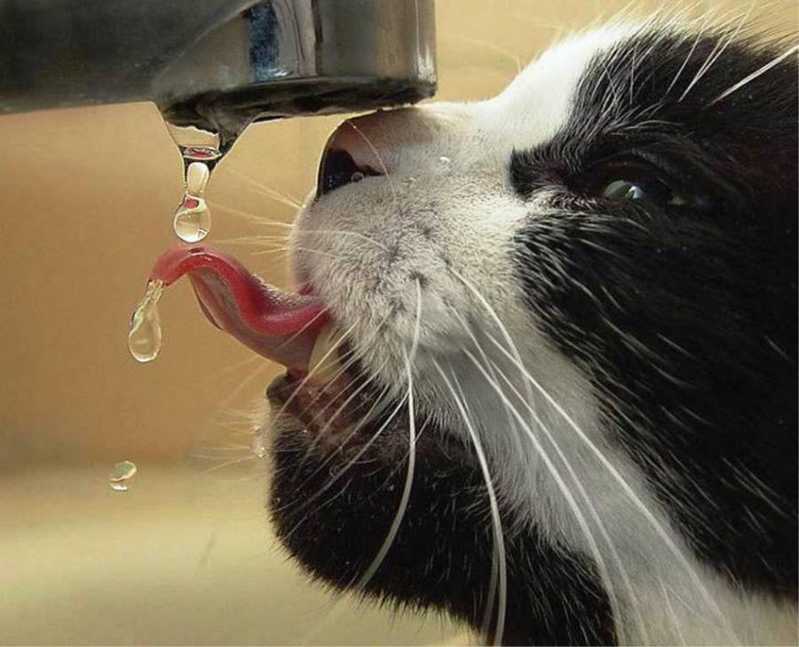 红色警报中的孤独盛宴，德布劳内眼中的E组逆袭剧本