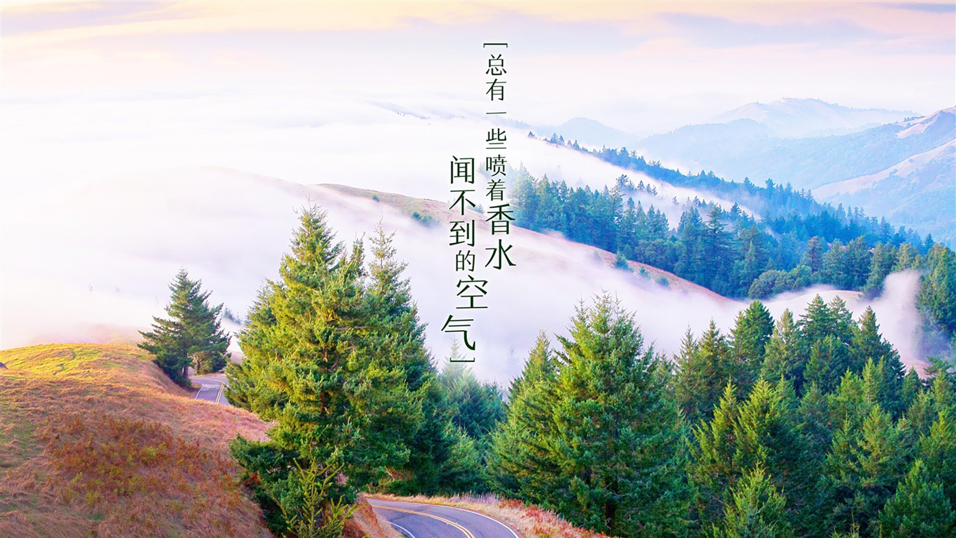 致命弧线划破波斯湾，2026世界杯B组，瑞典的冰蓝风暴与罗德里戈的绝杀密码