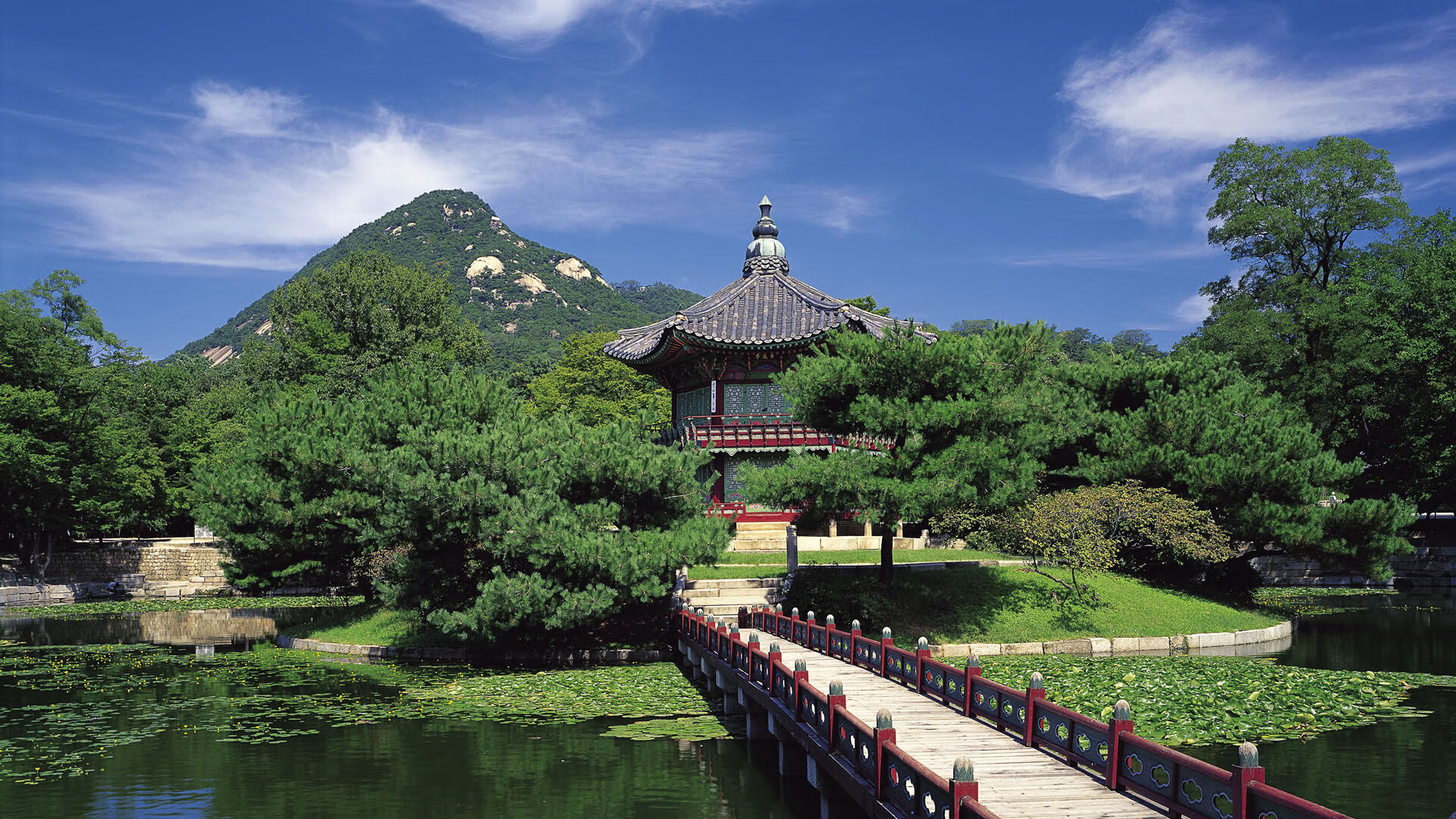 首先，为您拓展思维，构思一个文章标题